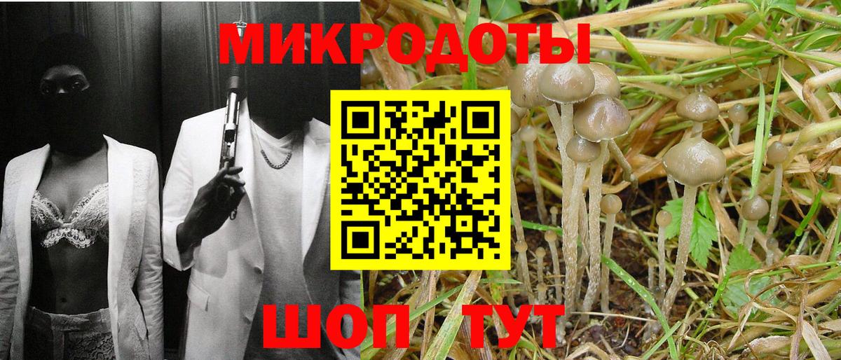 Псилоцибиновые грибы ЛСД  Галлюциногенные грибы ЛСД  Вход с VPN  Новоалтайск 
